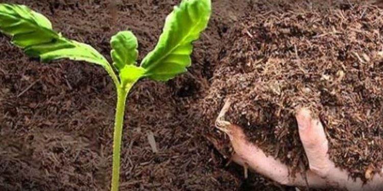 تصنيع سماد عضوي سائل من النفايات ... يحمي البيئة ويساعد المزارعين في لبنان