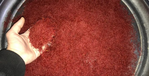 انتشار الذهب الأحمر.. الزعفران يتحدى أزمة لبنان