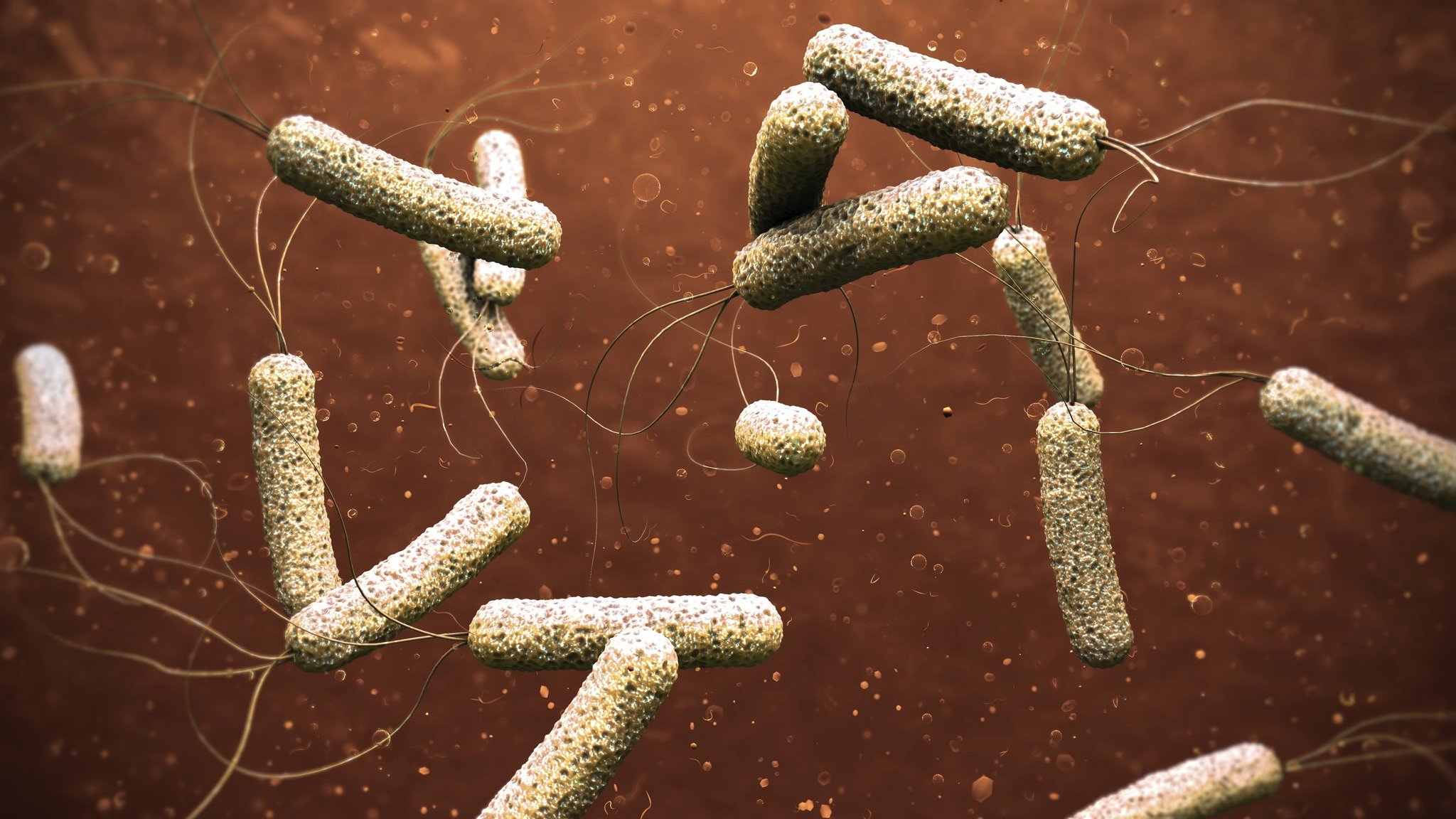 الكوليرا تتفشى في لبنان.. وتحذير من مرحلة خطرة