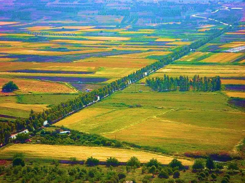 الكوليرا في لبنان تُقْلِق القطاع الزراعي والمعنيون يُطَمْئنون إلى سلامة الخضار والفواكه