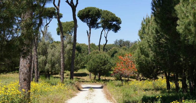 تعرفوا على بعض الأماكن الترفيهية في لبنان ... رحلة استثنائية