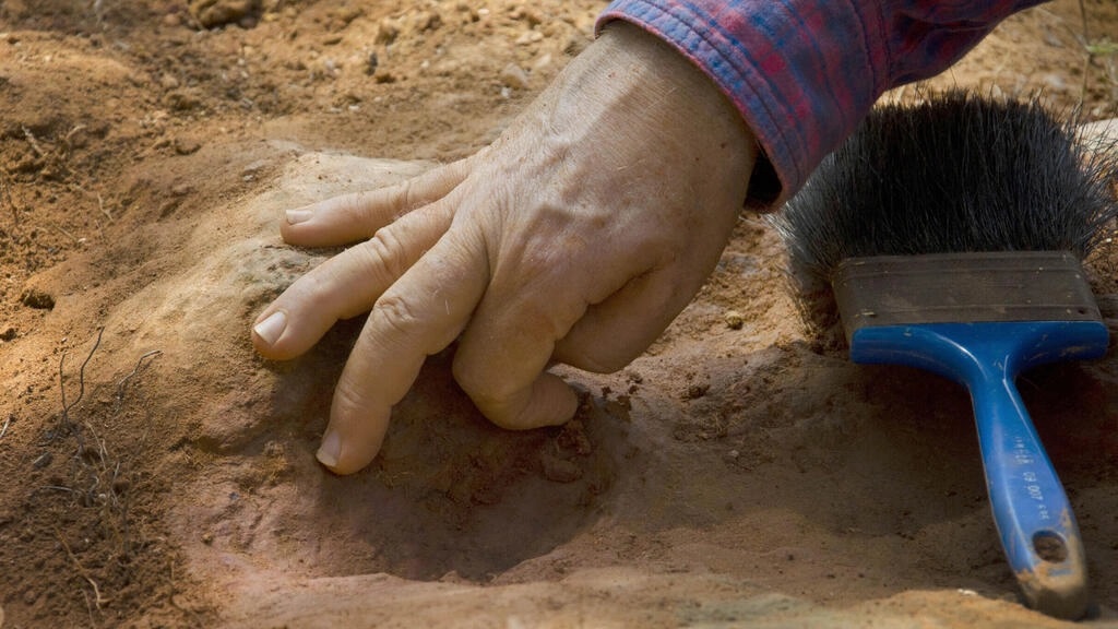 اكتشاف بقايا 76 طفلا انتزعت قلوبهم وقدموا كـأضاحي بشرية في البيرو