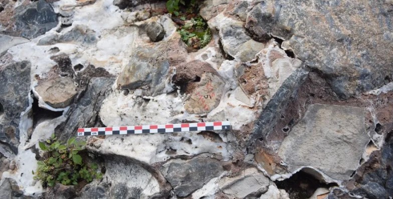 اكتشاف مثير عن أسلاف الإنسان ينسف النظرية السائدة