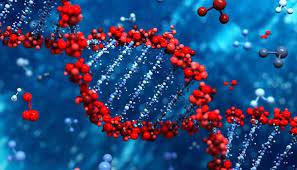 علاجات باهظة التكلفة لأمراض السرطان لكنها غير مُتاحة للجميع