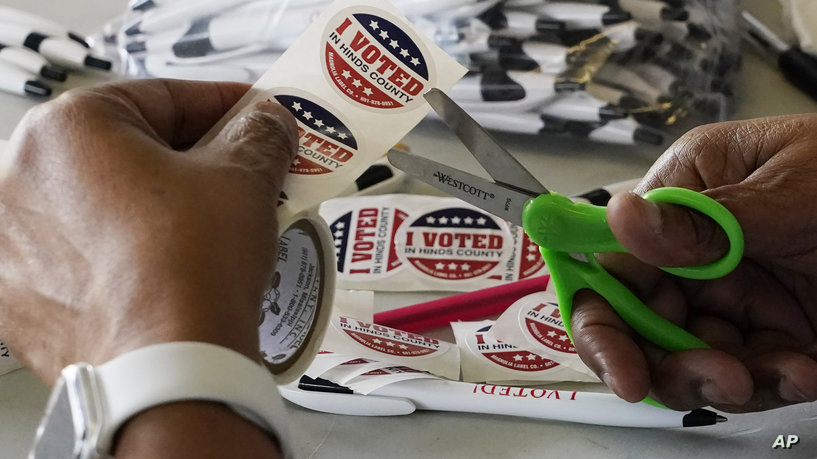 الانتخابات النصفية.. أولويات العرب الأميركيين وقوة التأثير