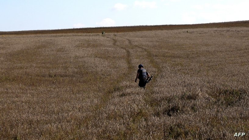برنامج لوكالة ناسا .. يكشف قيمة السرقات الروسية من القمح الأوكراني